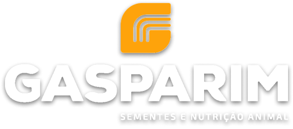 Gasparim - Cliente Fifi Transportes