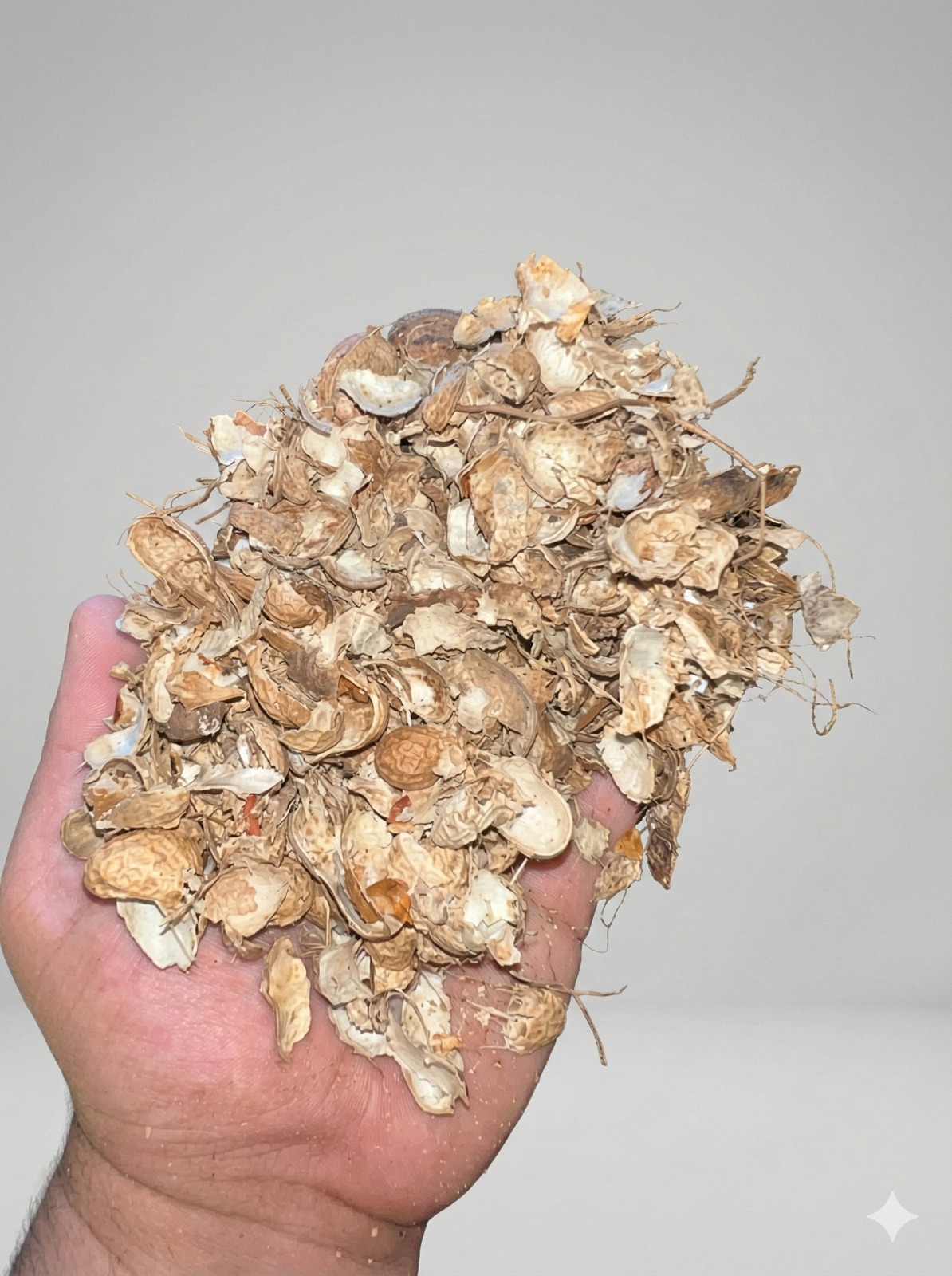 Casca de amendoim para alimentação animal - Fifi Transportes